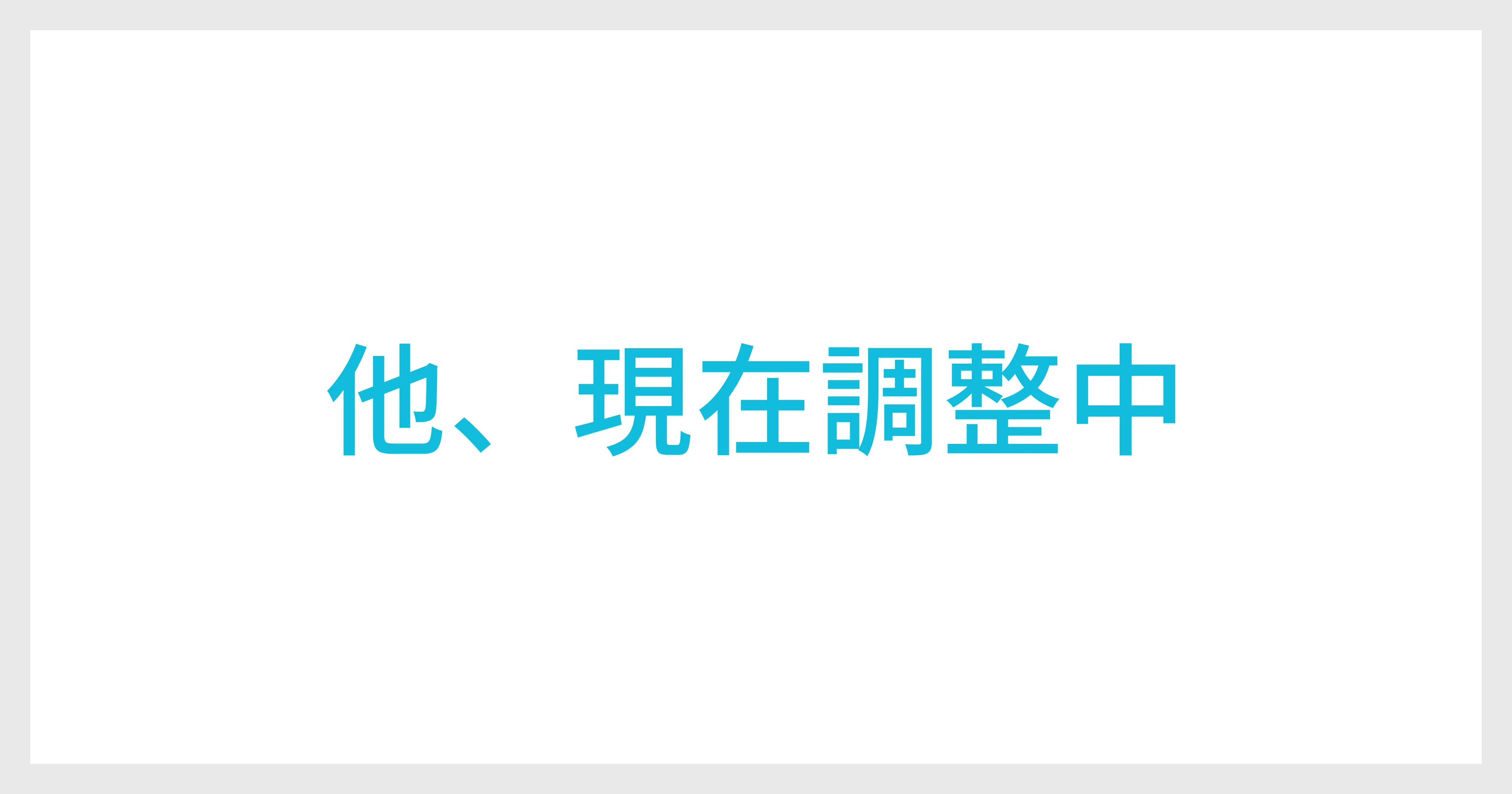 他、現在調整中